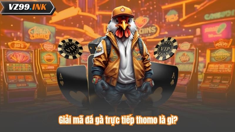Đá Gà Trực Tiếp Thomo - Sân Chơi Đỉnh Cao Châu Á 2025 5 Giải mã đá gà trực tiếp thomo là gì?